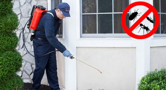 Kalkandere Böcek ve Haşere İlaçlama böcek ilaçlama ve haşere kontrolü — ilaclama-tr.com